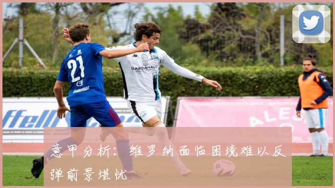 意甲分析：维罗纳面临困境难以反弹前景堪忧